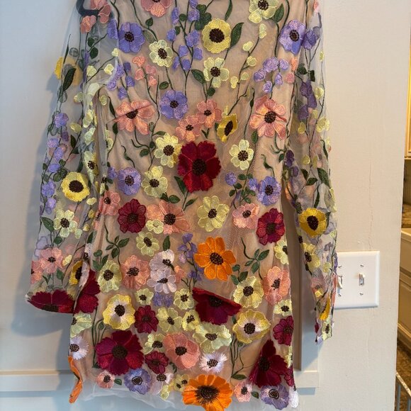 Floral Embroidered Sheer Overlay Mini Dress - Picture 2 of 3